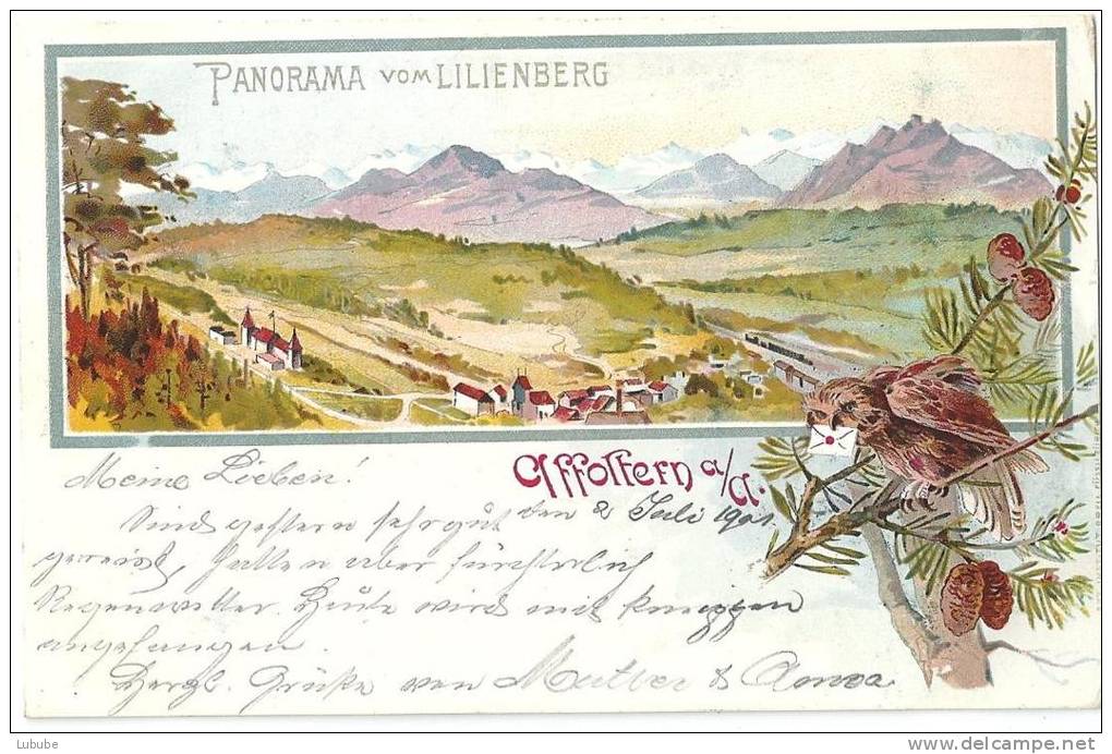 Affoltern Am Albis - Panorama Vom Lilienberg  (Farblitho)               1901 - Affoltern