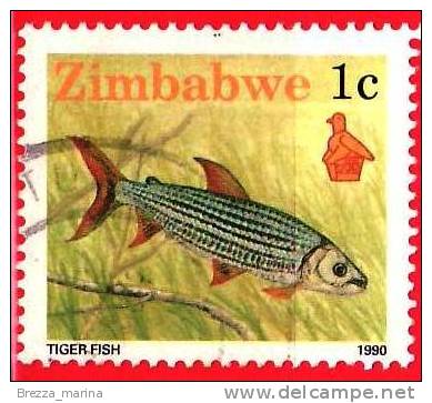 ZIMBABWE - Usato - 1990 - Risorse Naturali - Fauna - Pesci - Tigerfish (Hydrocyus Vittatus) - 1 C. - Zimbabwe (1980-...)