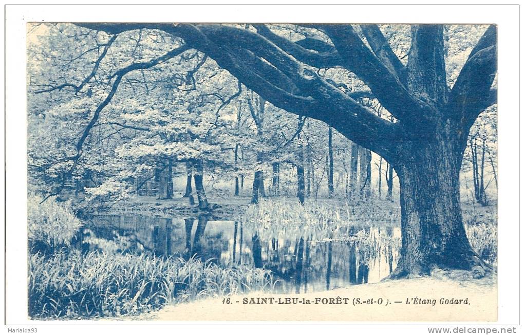 SAINT LEU LA FORET - VAL D´OISE - L'ETANG GODARD - Saint Leu La Foret