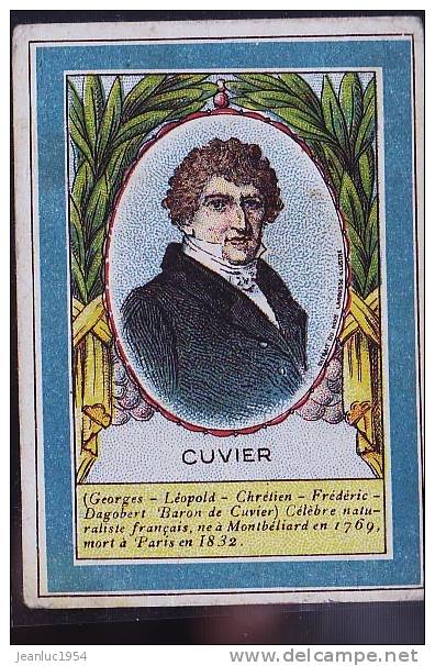 CUVIER - Artis Historia