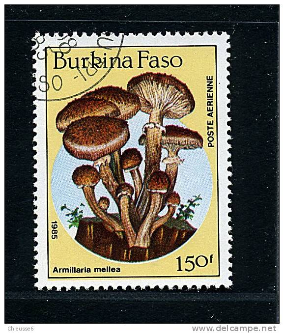 Burkina Faso Ob PA N° 311 - Champignons (10 P45) - Burkina Faso (1984-...)