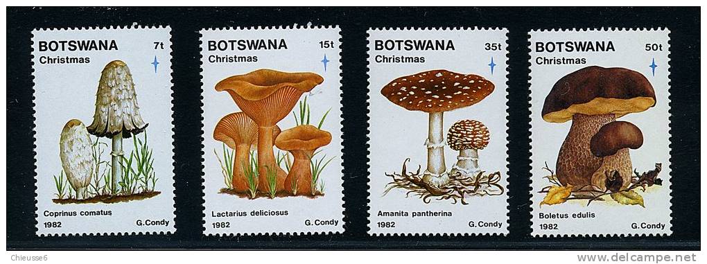 Botswana ** N° 469 à 472 - Champignons (10 P34) - Botswana (1966-...)