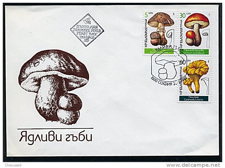 Bulgarie Ob N° 3071 à 3076 - 2 Env. 1er Jour - Champignons (lot 5) (24 P12/13) - FDC