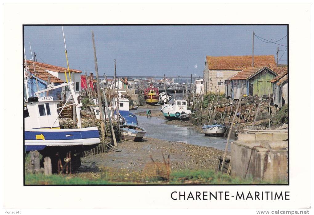 Cp , RÉGIONS , POITOU-CHARENTE , Maré Basse Dans Le Chenal - Poitou-Charentes