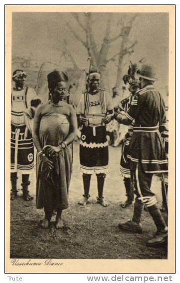 TANZANIE USSUKUMA DANCE - Tanzanie