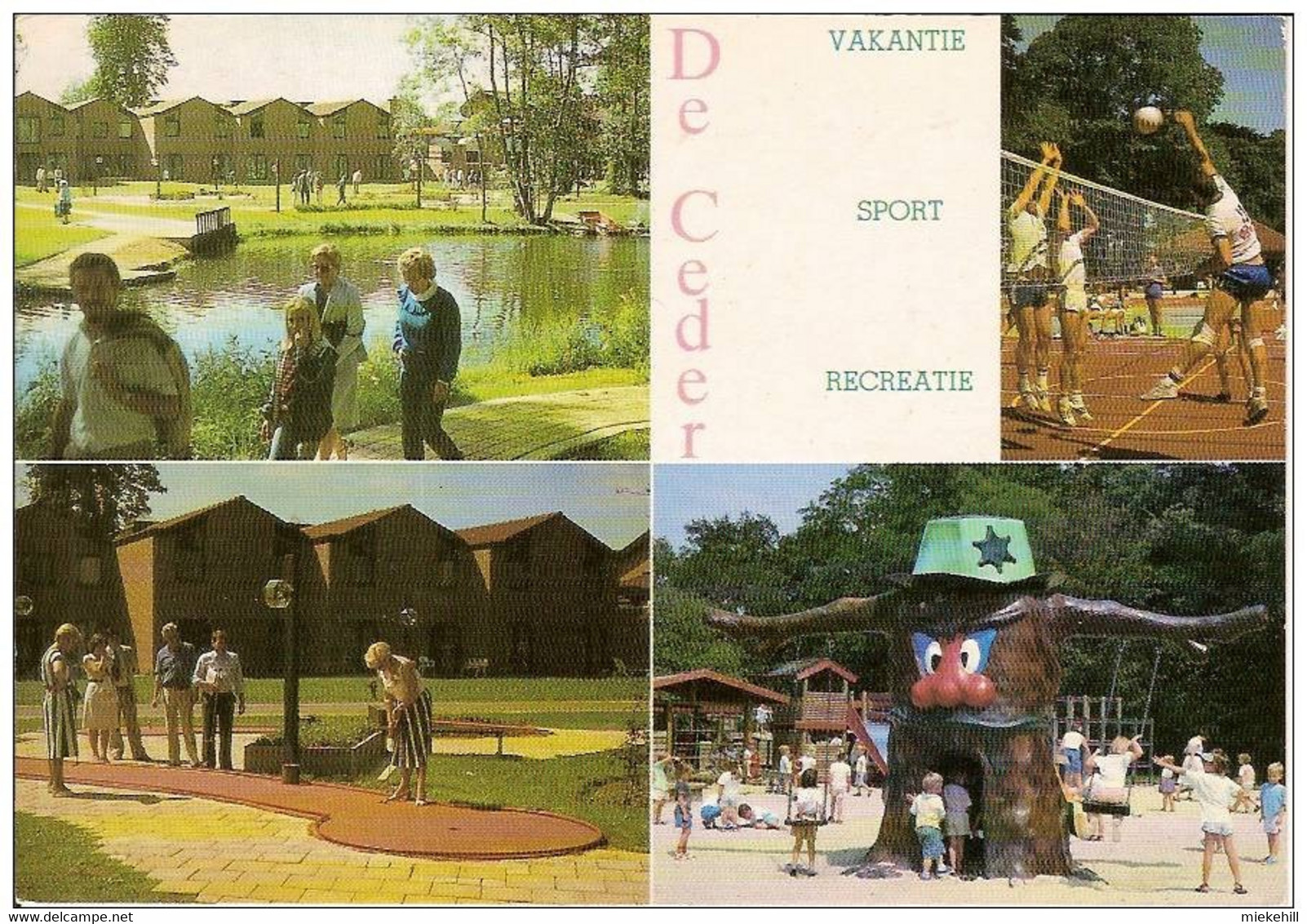 DEINZE-DE CEDER-SPORT-GOLF-VOLLEYBALL- SPORTTERREINEN-VISVIJVER - Deinze