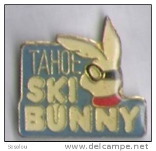 Tahoe Ski Bunny - Wintersport
