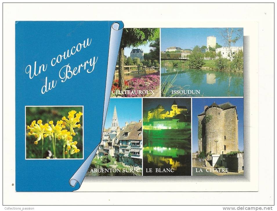 Cp, Centre - Val De Loire, Un Coucou Du Berry, Multi-Vues - Centre-Val De Loire