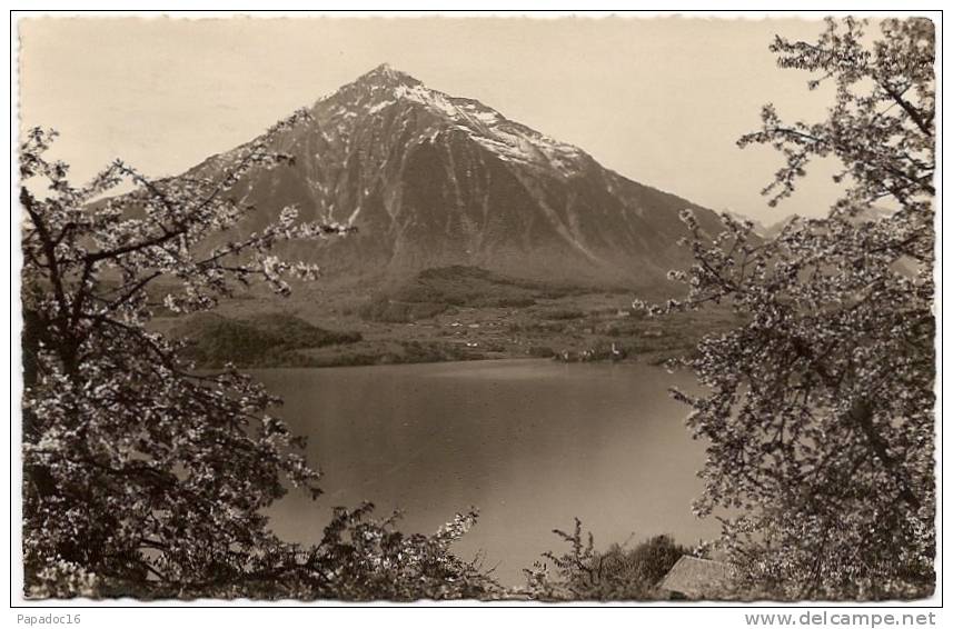 CH - BE - Bei Sigriswil Am Thunersee, Riesen - Phot. E. Gyger N° 3873 (gelaufen / Circulée 1935) - Sigriswil