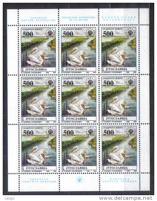 Jugoslavia Mi 2570 Klbg Bird Pelican Pelecanus Sheet Of 9 1992 MNH - Pelikane