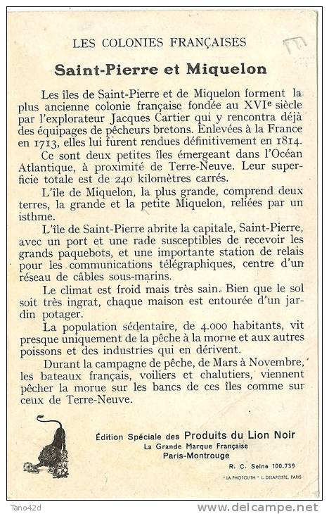 REF LBR 34 - ST PIERRE ET MIQUELON CPA EDITEE PAR LES PRODUITS DU LION NOIR - Saint-Pierre-et-Miquelon