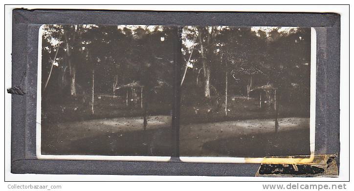 BRAZIL RIO DE JANEIRO &amp; RAILWAY PATH PARK ( PETROPOLIS ? ) X5 GLASS SLIDE STEREO PHOTOGRAPHS ORIGINAL VINTAGE CA1900 - Diapositivas De Vidrio