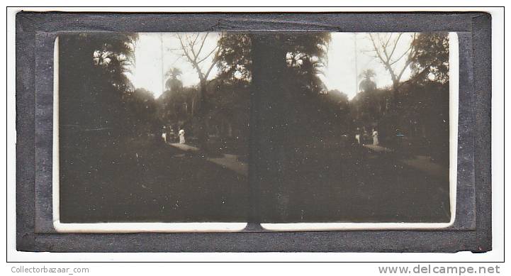 BRAZIL RIO DE JANEIRO &amp; PARK ( PETROPOLIS ? ) X5 GLASS SLIDE STEREO PHOTOGRAPHS  (CRACKED) ORIGINAL VINTAGE CA1900 - Diapositivas De Vidrio