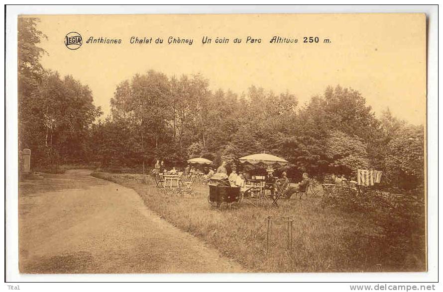 E665 - Anthisnes - Hotel Restaurant Chalet Du Cheney - Un Coin Du Parc - Anthisnes