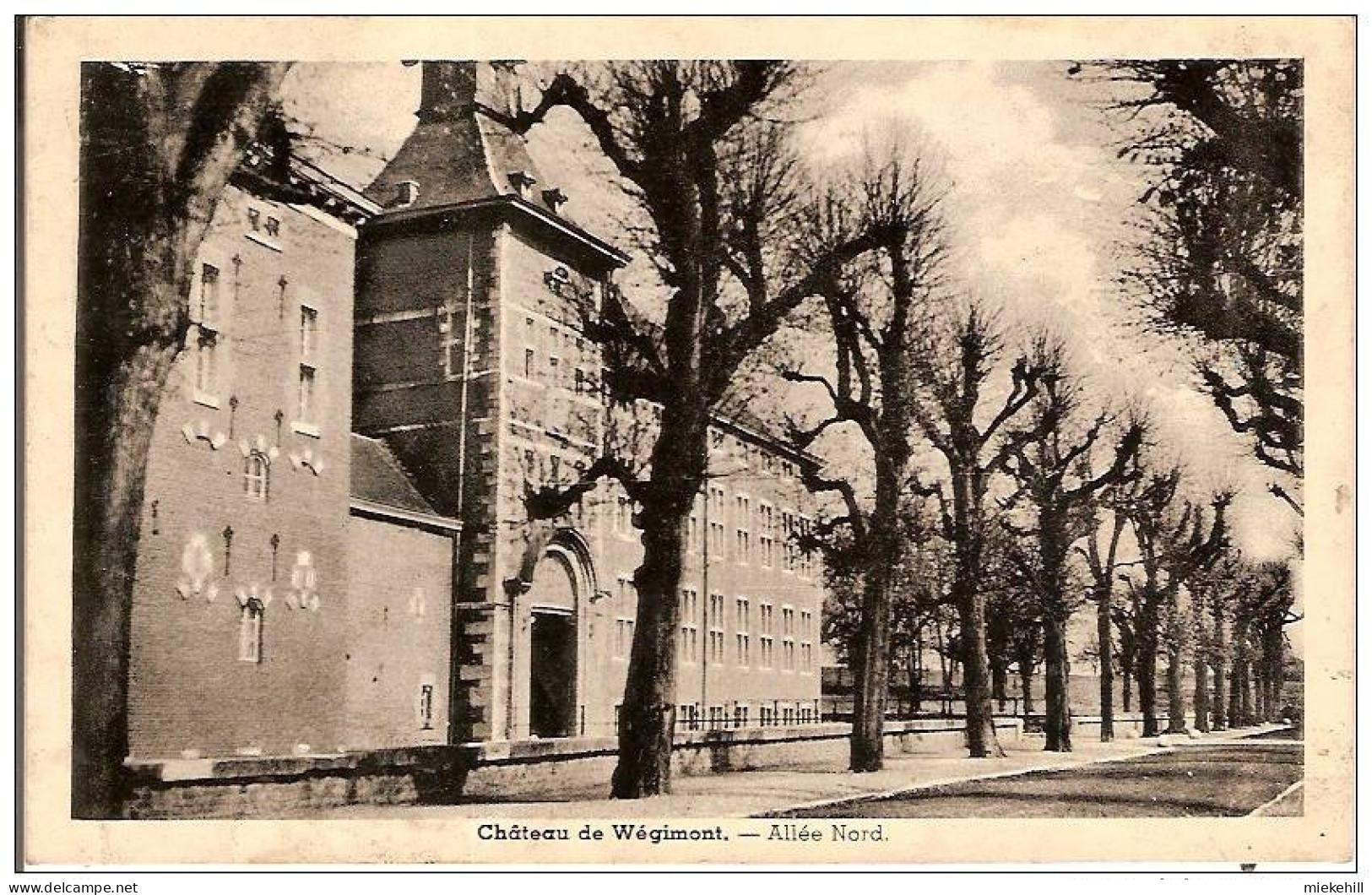 AYENEUX-DOMAINE PROVINCIAL DE WEGIMONT-LE CHATEAU-allée Nord - Soumagne