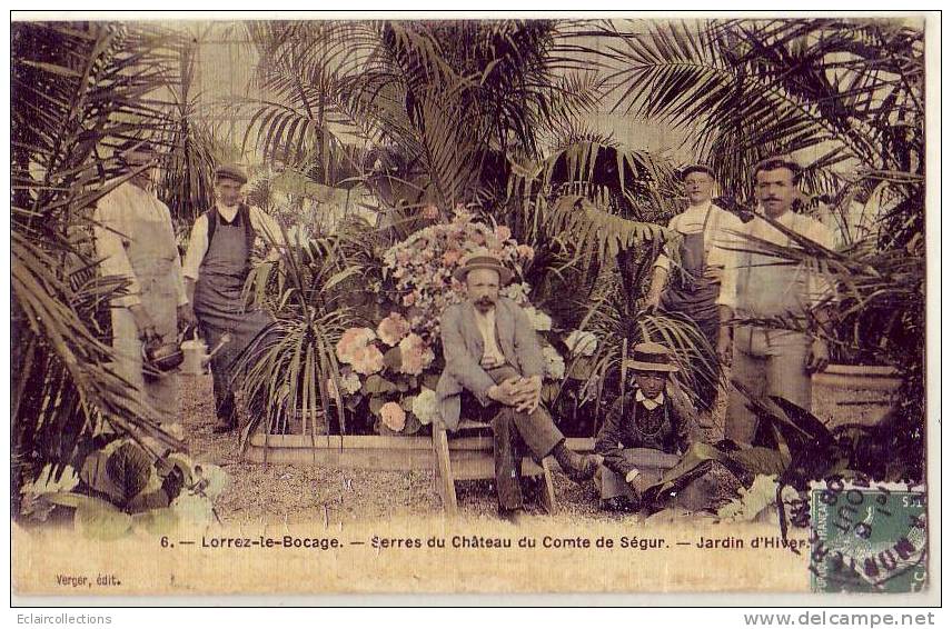 Lorrez Le Bocage      77      Serres Du Château Du Comte De Ségur  Jardin D'Hiver  (voir Scan) - Lorrez Le Bocage Preaux