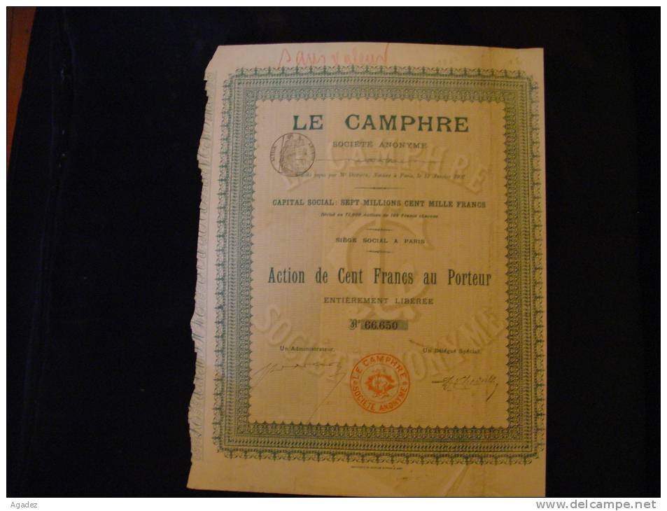 Action " Le Camphre " Paris 1907 Avec Tous Les Coupons. - Industrie