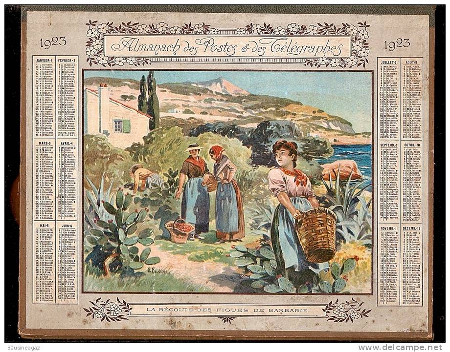 Calendrier, Almanach Des Postes  PTT 1923 La Recolte Des Figues De Barbarie, 30 Gard. - Tamaño Grande : 1921-40