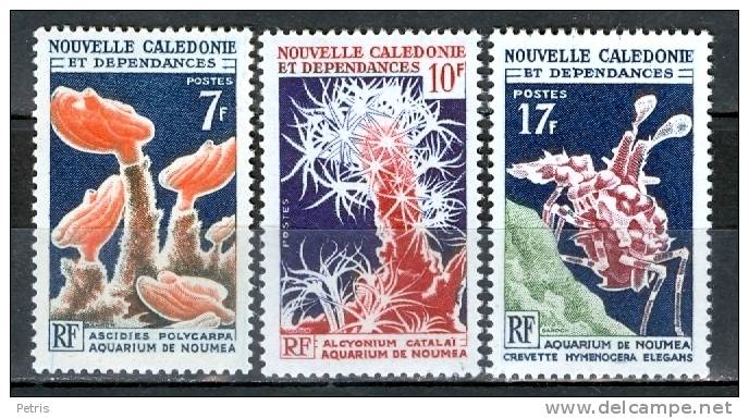 New Caledonia 1964 Noume&acute;a Aquarium MNH** - Lot. 1110 - Crostacei