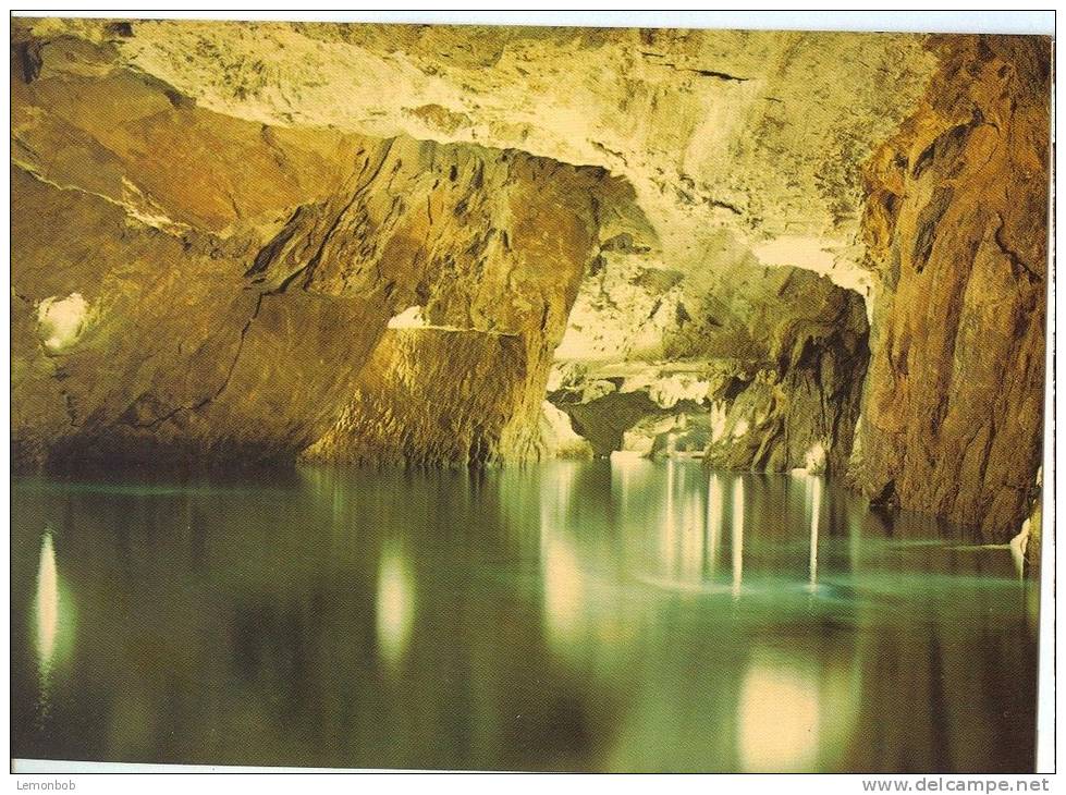 Switzerland, Lac Souterrain, Saint-Leonard, Unused Postcard [10865] - Saint-Léonard