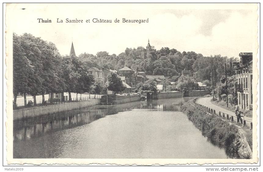 THUIN (6530) La Sambre Et Chateau De Beauregard - Thuin