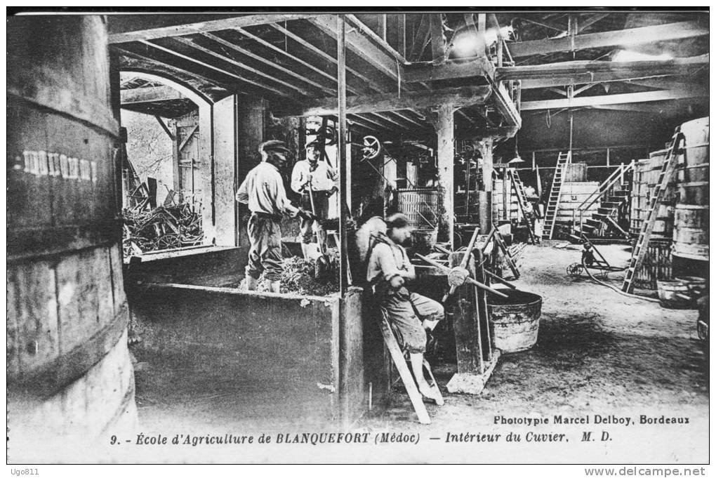 9. -  Ecole D'Agriculture De BLANQUEFORT   (Médoc)   -   Intérieur Du Cuvier - Blanquefort