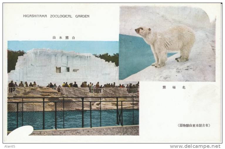 Higashiyama Zoo Botanical Garden, Nagoya Japan, Polar Bear Cage, C1930s Vintage Postcard - Nagoya