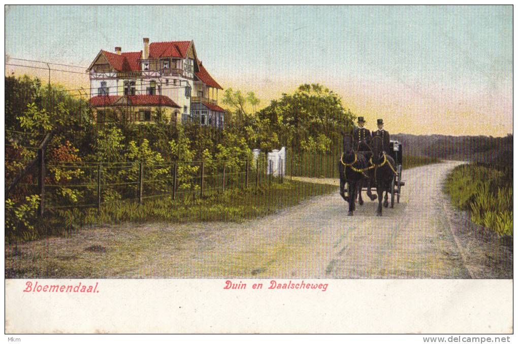 Duin En Daalscheweg - Bloemendaal