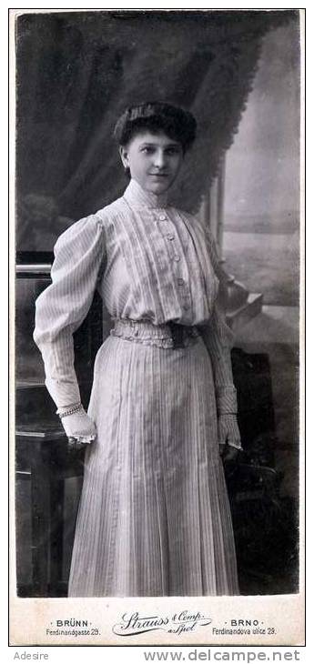 Junge Frau, Foto Auf Karton Um 1900, Atelier "Strauss" In Brünn, Fotoformat Ca. 17 X 8 Cm, Gute Erhaltung - Alte (vor 1900)