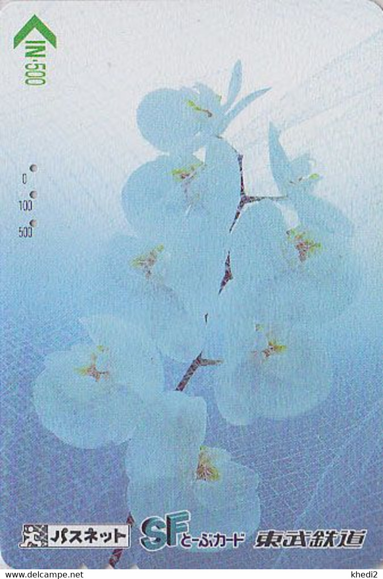 Carte Prépayée Japon - Fleur ORCHIDEE - ORCHID Japan Prepaid Passnet Bus Card - ORQUIDEA - 1569 - Fleurs