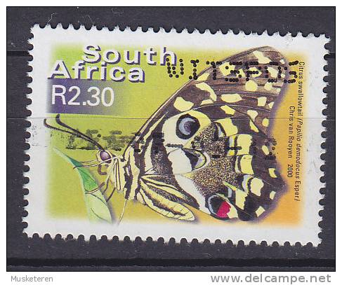 South Africa 2000 Mi. 1305 A     2.30 R Butterfly Schmetterling Papillon - Oblitérés