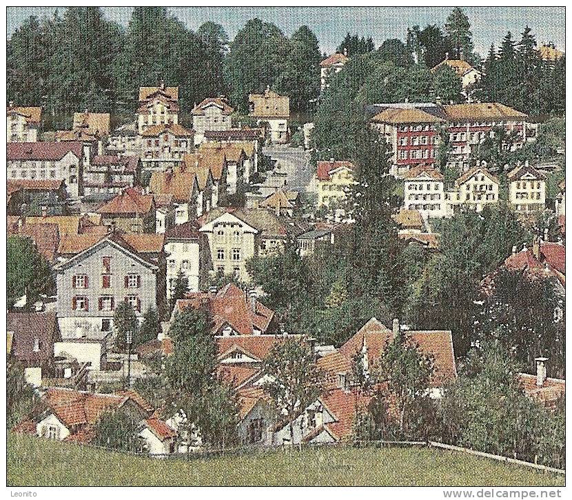 HEIDEN Klimakurort über Dem Bodensee 1981 - Heiden