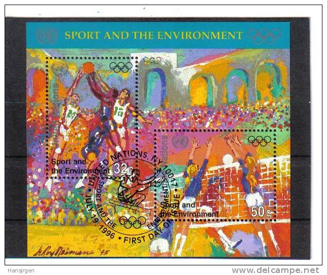 ONU1077  UNO NEW YORK  1996  MICHL  716/17 BLOCK 13  GESTEMPELT - Used Stamps
