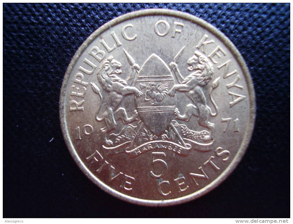 KENYA 1971 FIVE CENTS   KENYATTA Nickel-Brass  USED COIN In UNCIRCULATED CONDITION. - Kenia