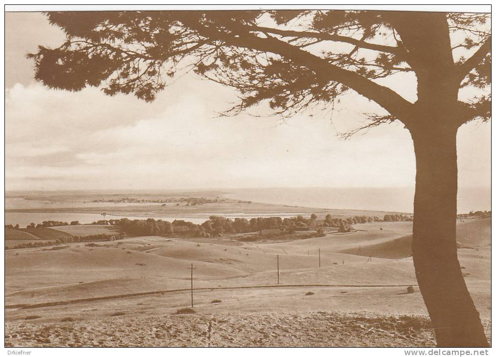 Hiddensee, Ausblick, Um 1930 - Hiddensee