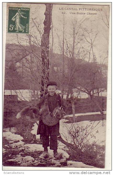 Non Localisé Auvergne  Le Cantal Pittoresque   15    Chasse Au Renard   (voir Scan) - Auvergne