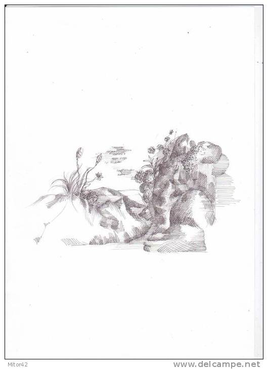 11-Original Drawing In Ink Of China- 29,5 X 21 Cm, With Certificate Of Guarantee Signed By Italian Artist - Drawings