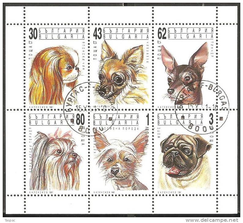 Bulgaria 1991 Mi# 3929-3934 Kleinbogen Used - Dogs - Gebraucht