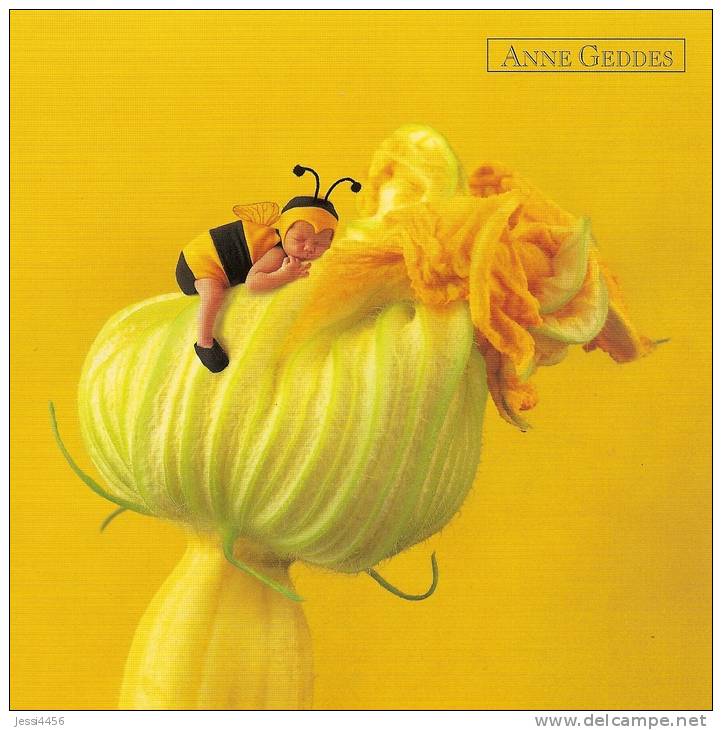 Carte Postale Anne Geddes Bébés 14x14 Cm + Enveloppe - Bébé Abeille Fleur Courgette - Autres & Non Classés