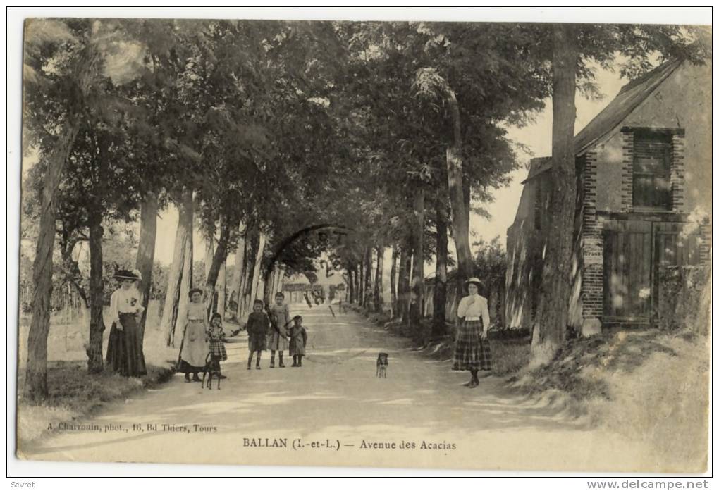 **  BALLAN  - Avenue Des Acacias. Belle Animation. - Ballan-Miré