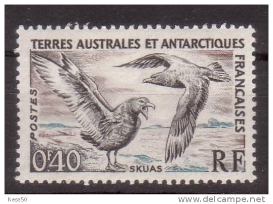 Taaf 1959 Mi Nr 15 Meeuwen Birds  0,40 C - Unused Stamps