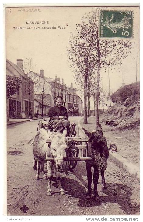 Mauriac      15       Attelage D'ânes   (voir Scan) - Mauriac