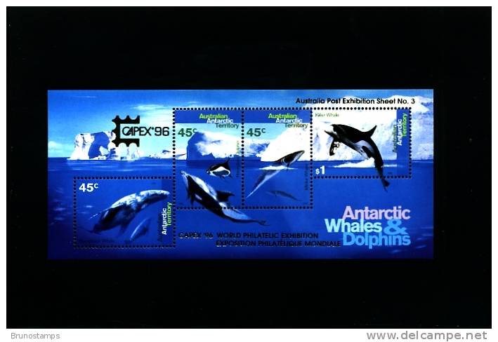 AUSTRALIAN ANTARCTIC TERRITORY-1995 WHALES & DOLPHINS MS MINT NH OVPT CAPEX 96 - Blocks & Sheetlets