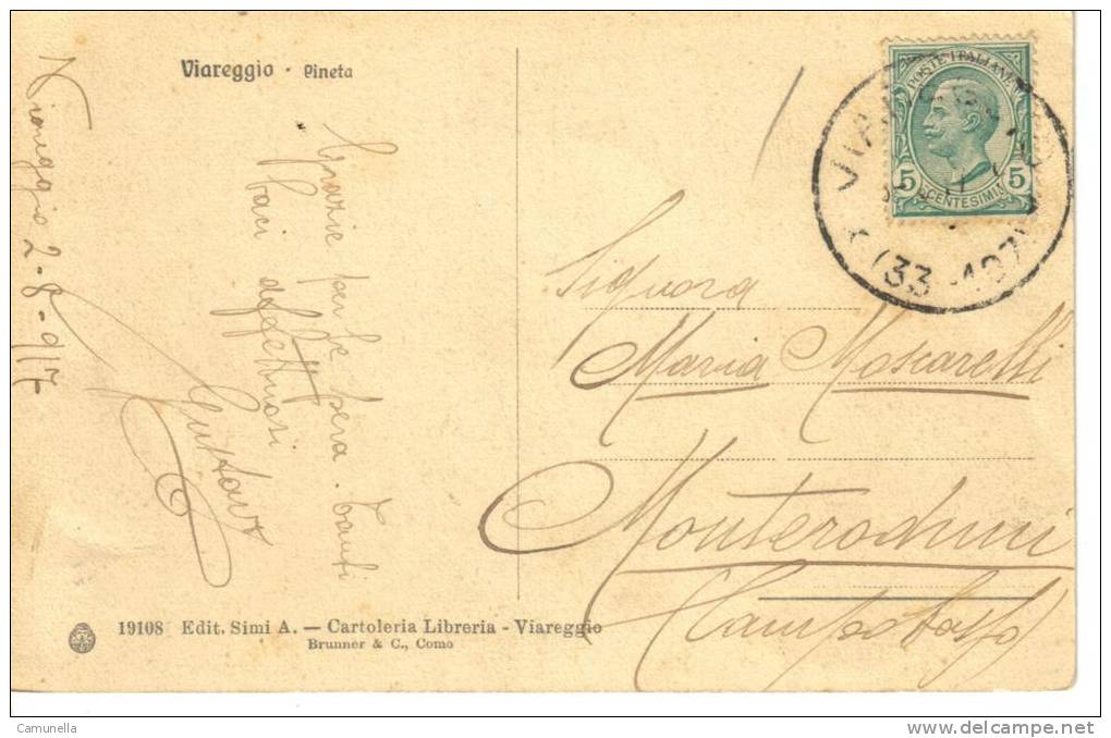 Viareggio -pineta -viaggiata 1917 - Viareggio