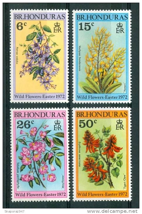 1972 British Honduras Fiori Flowers Blumen Fleurs Set MNH** Fio40 - Honduras Britannico (...-1970)
