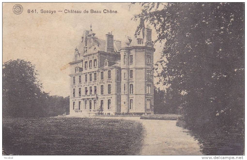 Cp , BELGIQUE , SOSOYE , Château De Beau Chêne - Anhée