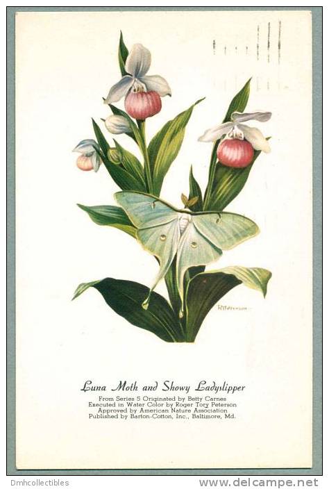 Luna Moth & Showy Ladyslipper, Artist Signed By Roger Tory Peterson 1954 (gg-48) - Other & Unclassified