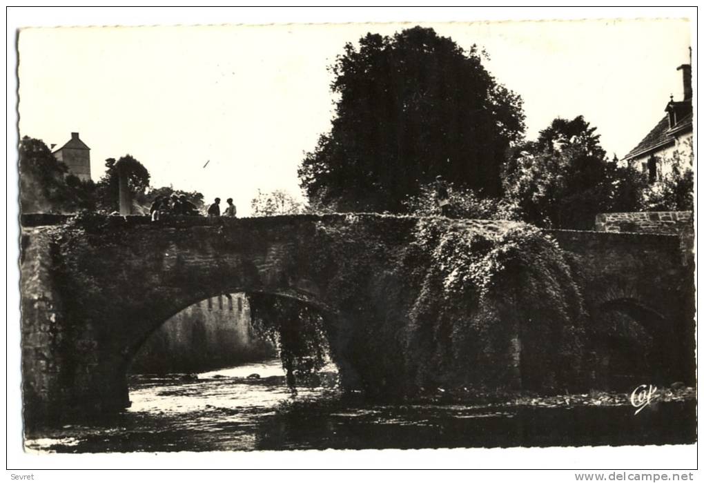 QUIMPERLE. - Le Pont Fleuri. - CPSM 9x14 - Quimperlé