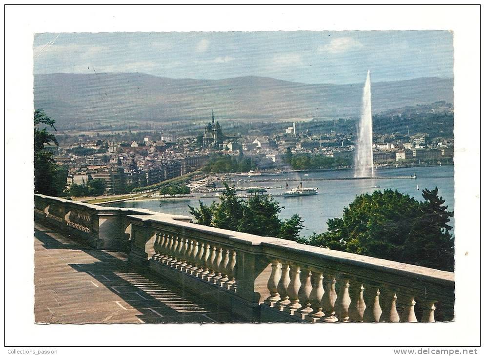 Cp, Suisse, Genève, La Rade Et La Ville Depuis Cologny,voyagée 1963 - Cologny