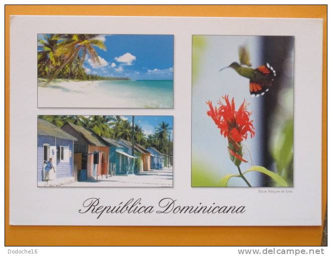 REPUBLICA DOMINICANA - Colibri - Multivues - Repubblica Dominicana